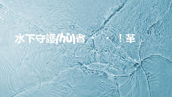 水下守護(hù)者！革命性水面清潔機(jī)器人，為環(huán)境保護(hù)而來(lái)？